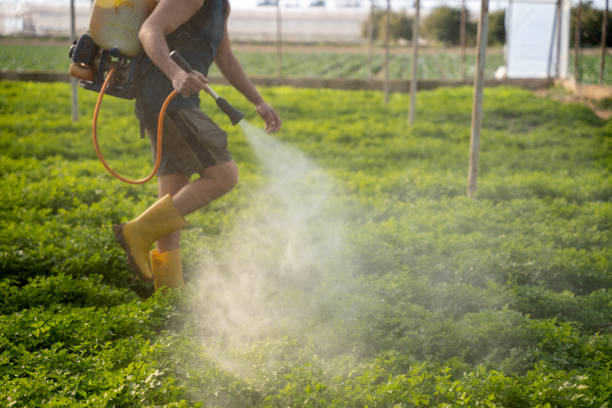 Best Pest Control for Restaurants  in Bensenvle, IL