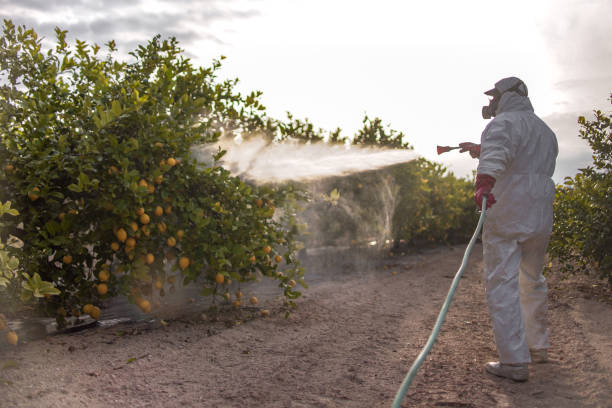 Best Pest Inspection Near Me  in Bensenvle, IL