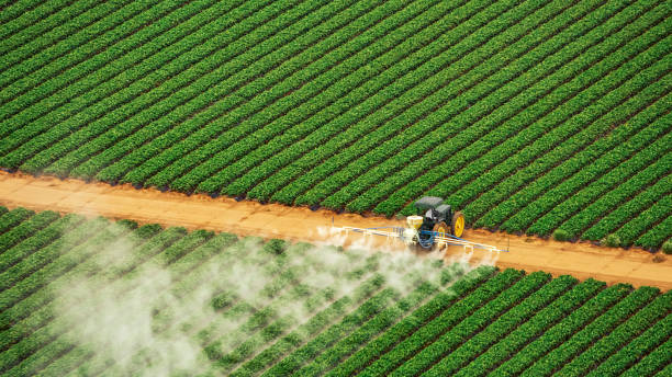 Best Pest Control Cost  in Bensenvle, IL