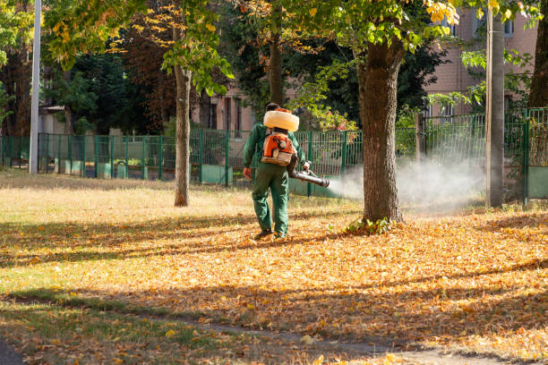 Best Rat Extermination Near Me  in Bensenvle, IL