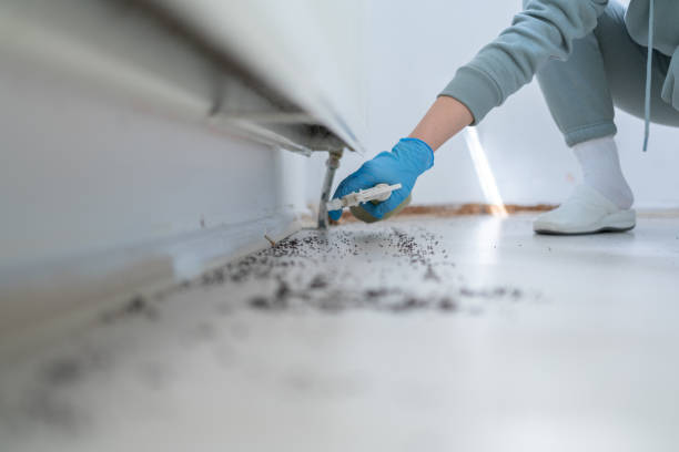 Pest Control Cost in Bensenville, IL