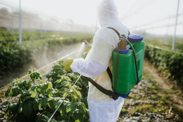 Best Wildlife Control Services  in Bensenvle, IL